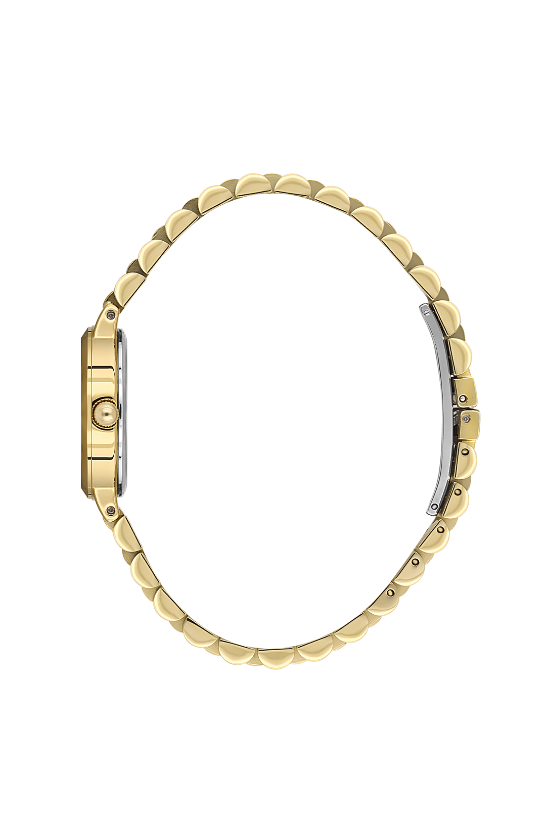 BIGOTTI MILANO BG.1.10660-3 WOMEN WATCH