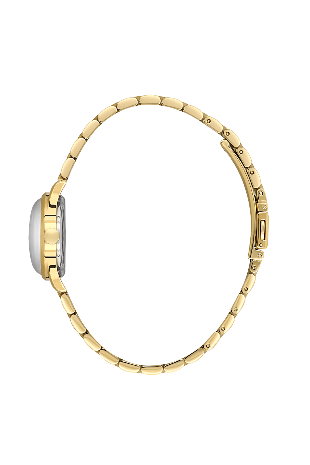 SANTA BARBARA POLO SB.8.10012-2 Women WATCH