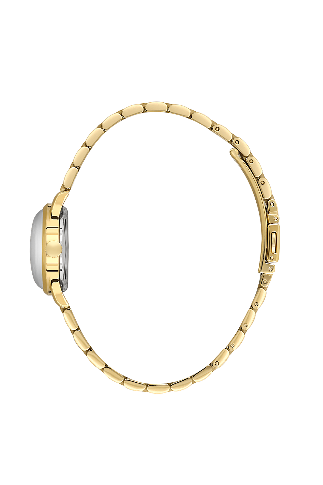 SANTA BARBARA POLO SB.8.10012-4 Women WATCH