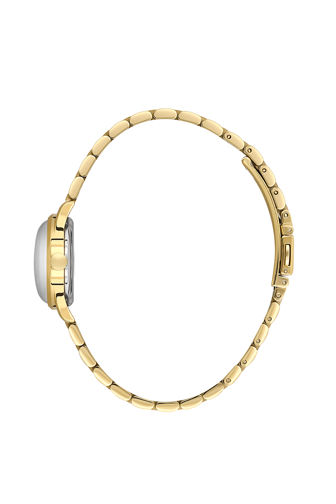 SANTA BARBARA POLO SB.8.10012-5 Women WATCH