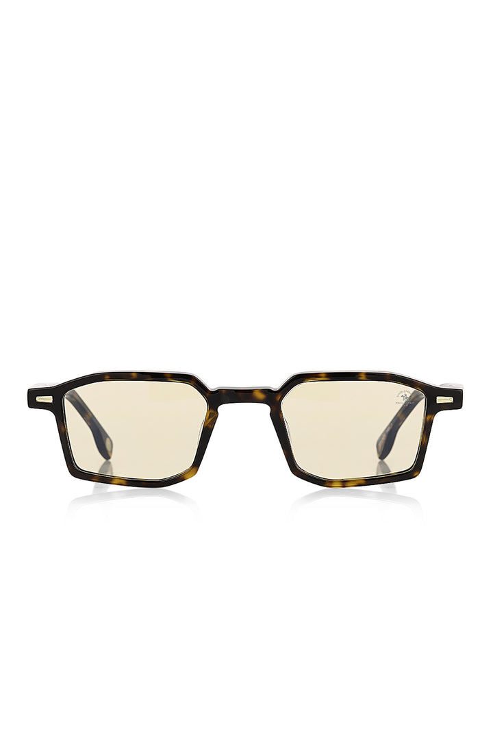 SANTA BARBARA POLO  SUNGLASSES SBS.1.1201-2