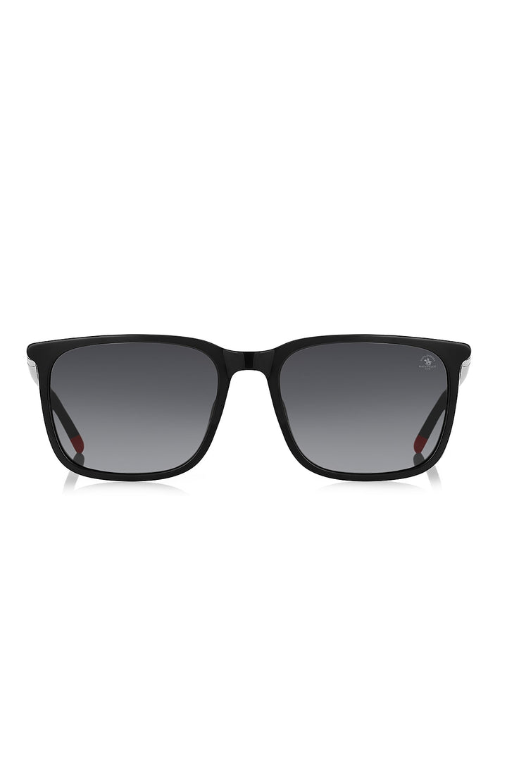 SANTA BARBARA POLO MEN SUNGLASSES SBS.1.1203-3